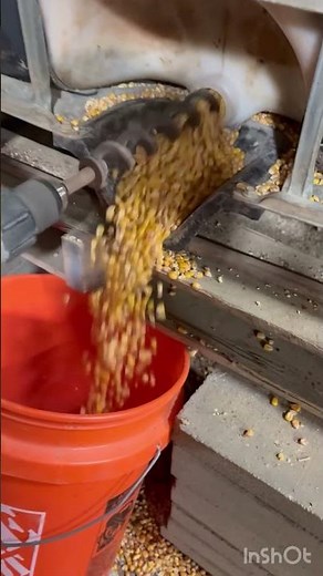 DIY IBC tote grain bin Auger