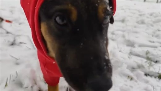 1.9K views · 53 reactions | UPDATEZUHAUSE IN KROATIEN VOR ORT...