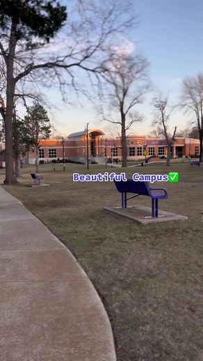 Wiley has what you’re looking for!🔥💜🤍 APPLY TODAY! #hbcu #wileycollege #choosewiselychoosewiley