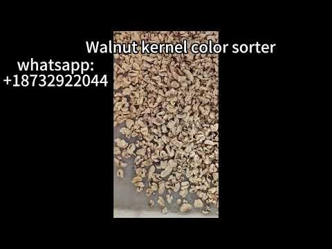 Walnut kernel color sorter,Sorting impurities inside