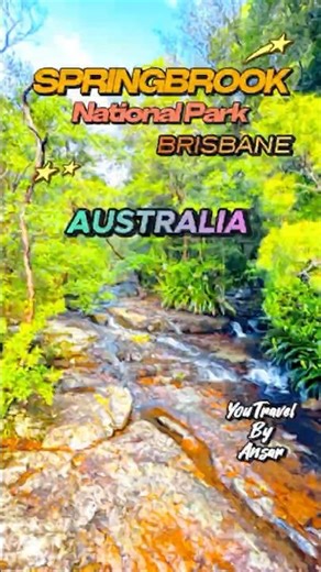 🌄 Springbrook Canyon Lookout | Hidden Paradise near Brisbane 🌿✨ #travel #travelshorts
