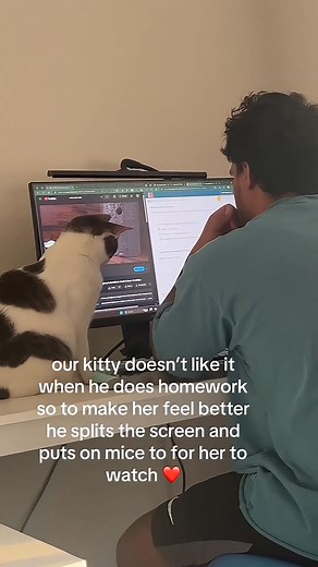 129K views · 4.5K reactions | A successful escape attempt  | Cats Videos | Facebook