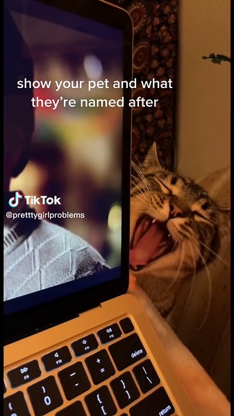 @beargrylls we’re your biggest fans