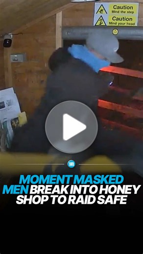Thieves smashed up a farm shop trying to steal a safe that was already empty 🤦‍♂️💀 Two balaclava-clad men targeted Haughley Herdwicks farm shop in Suffolk, using a pickaxe to try to smash the safe off the wall, despite a sign telling them the business had gone cashless in August. When that failed, they tied a tow rope around the safe and used a vehicle to rip it from the building, causing significant damage to the shop and stock inside. The owners were alerted by motion cameras and alarms, but