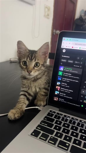 Amber Boy's Control Panel Explained