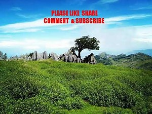 Musik festa Mamacita