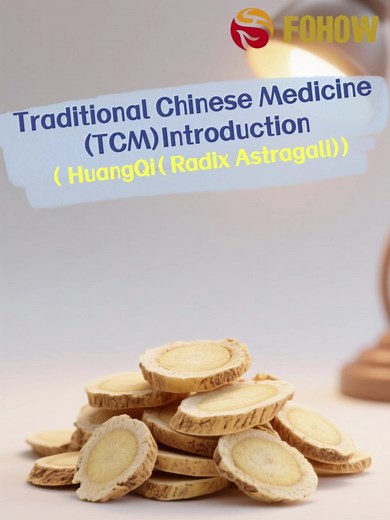 Understanding the Effects of Astragalus on Health