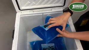 I know we've said this before... but these Arctic Ice Packs are seriously epic! ~ Non-Toxic gel ~ Will freeze to -15°C in a standard household freezer FREE Shipping for Orders over $69 for most Australians. | Tentworld