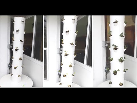 Hydroponic Strawberries (Using Tower Garden)