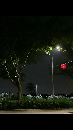 I'm Mr. Loverman:( | Mr. Lover Man