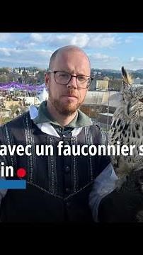 Un fauconnier sur la foire saint Siffrein à Carpentras