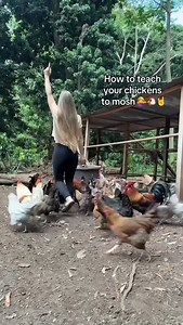 Reposted • @wrens.hens Circle pit at the Dethkluk concert was insane #chickenmama #chickens #moshing #circlepit #moshpit #chickensofinstagram #chickenlady #dethklok #natureismetal #homesteading #metalocalypse | Save Rock & Metal