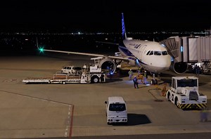 ANA(全日空)　国際線、国内線でエアバスA320neo就航