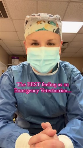 Splenectomies are one of the most common surgeries we perform in the pet ER. Often these pet patients present critical because they have a splenic tumor that has ruptured, and they are bleeding internally. Unfortunately, the odds of it being an aggressive splenic tumor are higher if they present bleeding. So when we get back a histopath report saying the mass was benign, it feels like a miracle. Moments like that are why I do what I do. 🤍 #dogemergency #emergencyvet #veterinarysurgery