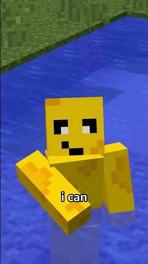 Why This is Minecraft's Most USELESS Item...