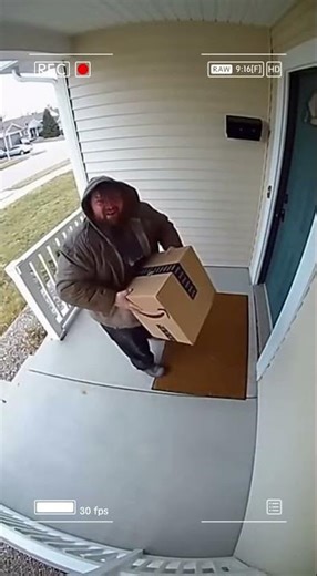 When the Owner Lets the Dog Out… 🐶 #cctv