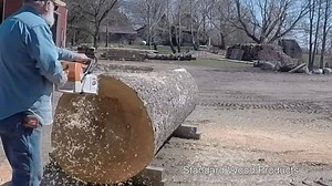 35K views · 151 reactions | Cutting a sycamore in half Video by: Standard Wood Products | Forestry Equipment in Action | Facebook