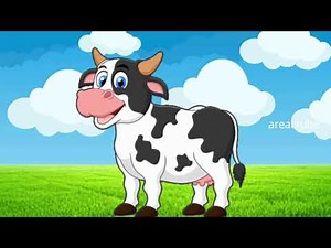 MENGENAL HEWAN SAPI SUARA BINATANG ANIMASI SAPI DAN GAMBAR BINATANG SAPI