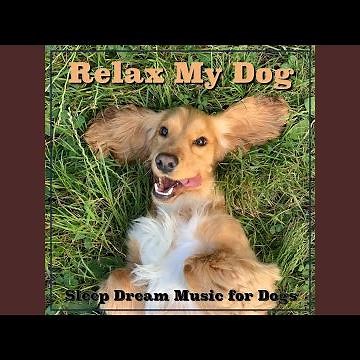 Relax My Dog