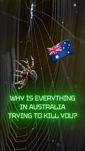 Why Australia Has So Many Deadly Animals 🇦🇺