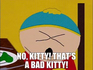 No, Kitty! That's a bad Kitty!