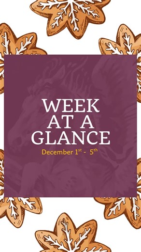 UCF Graduate Admissions on Instagram: "❄️ Step into your future this season! This week is packed with events to help you explore graduate programs, connect with faculty, and take the next step toward your goals. 🌟 Don’t miss your chance to shine. 👀 Check out the full lineup and see what inspires you. 🔗 [Link in bio: "Exploring UCF"] to register + get all the details!"