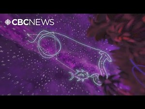 Exploring Indigenous astronomy, stories and science