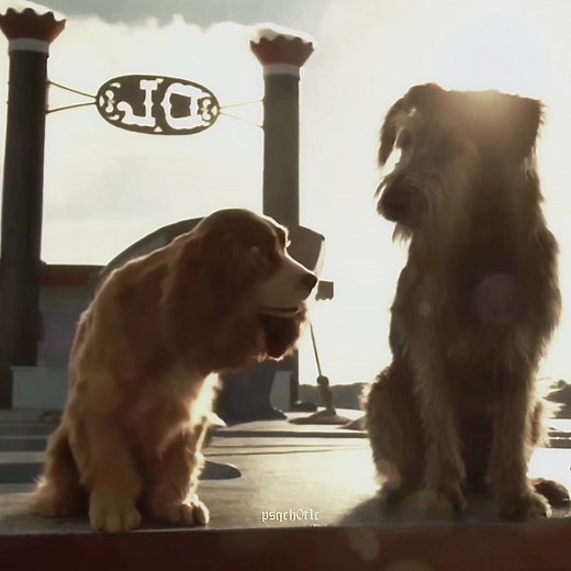 gonna cry over this one #edit #xyzbca #fyp #disney #disneyedit #ladyandthetramp #ladyandthetrampedit