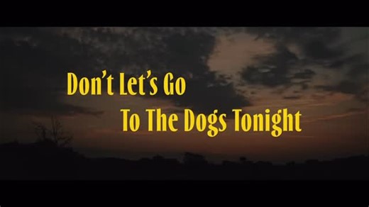 SBIFF on Instagram: "Starting Friday at SBIFF’s Riviera Theatre is Embeth Davidtz’s DON’T LET’S GO TO THE DOGS TONIGHT. #sbiff #santabarbara #embethdavidtz #dontletsgotothedogstonight"