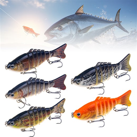 Watch Robotic Fishing Lure on Amazon Live