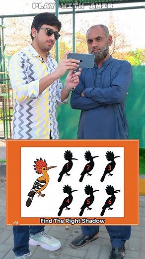 Find the Right Shadow Challenge with Amir