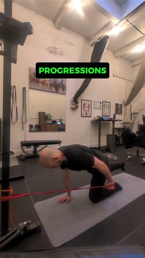 Bird Dogs with Shoulder Extension #oblique #core #running #athlete