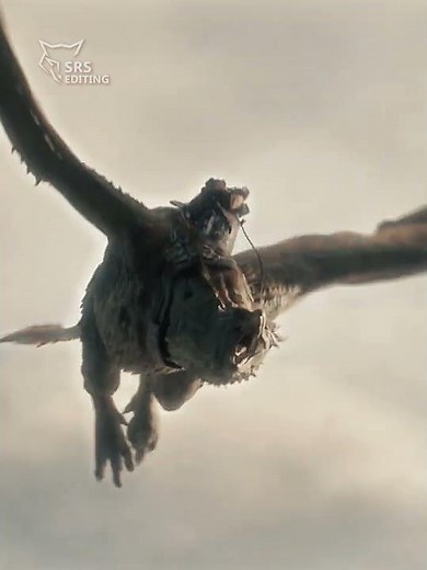 Rhaenyra Targaryen & Jace - Battle of the Gullet || House of the Dragon - Season 3