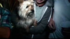 projectx a buli elszabadul