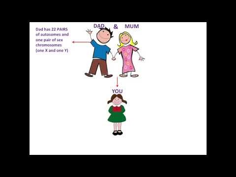 Making the Most of your Autosomal DNA Test (Michelle Leonard)