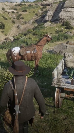 I thought I’d made a new friend but I ballsed it up once again #reddeadredemption2