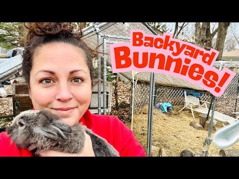 Backyard Bunny Setup Tour | Raising Outdoor Rabbits