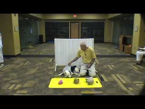 Chaser Responds to the Combination of Verb and Noun Phrases