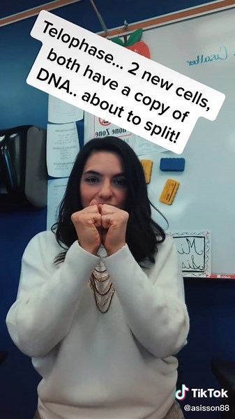 Mitosis Hand Dance: Learn the Phases with Sisson Science Series!