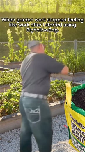 3K views · 22 reactions | Here are some key reasons why BigYellowBag...