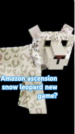 What custom skin should I make