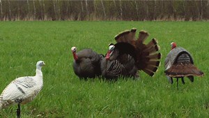 17K views · 119 reactions | Breaking Spring S5E4 – Fourth Redemption Brennen finally makes the trek north to get on the board for the spring, foliage is starting to pop and the birds are starting to drop. HD ✅ Brightness & Volume ⬆️ | The Breaking Point | Facebook