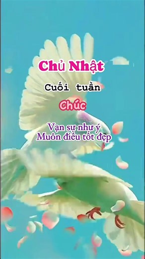 Video của LêMinhSơnNĐN (@leminhsonndn) với bản nhạc Probability Cloud (STEM synth) - Altitude Music / BMGPM