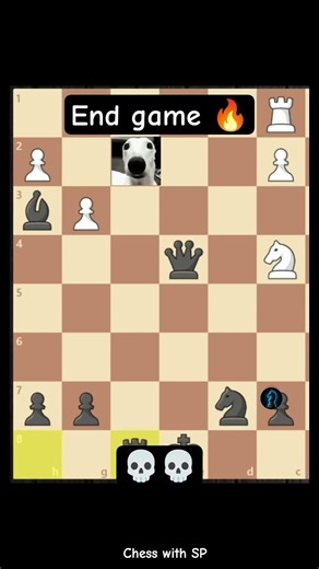 End Game🔥💀 #chess #scandinaviandefense #chessstrategy #games #siciliandefense #chessgame #funny