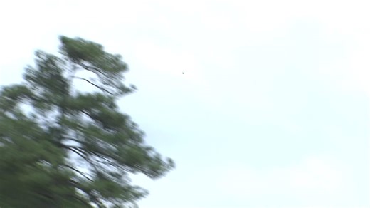 Boo Weekley makes birdie on No. 6 at Mitsubishi