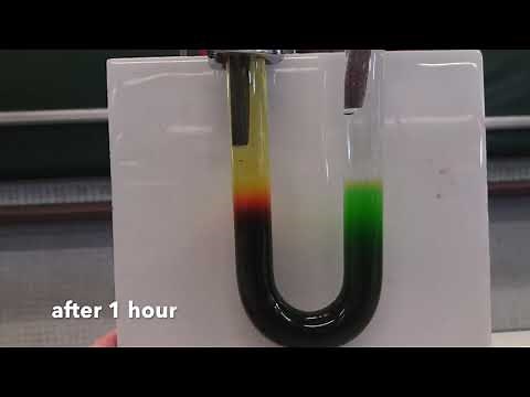 Experiment 7.3 - Investigating the migration of ions