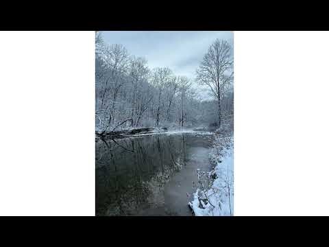 (March 2026), Anita Ward's 1979 classic "Ring My Bell" blew up across TikTok, IG, FB, etc.