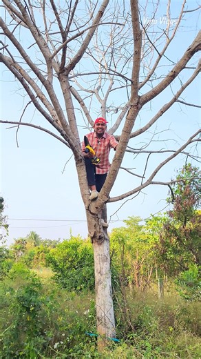 😂இதை வச்சு என்ன வேணாலும் பண்ணலாம் Kovai Classic Industries 7200 472 556 9500 841 556 🔗 Mini Chain Chaw, Big Power Small Size. Heavy Cutting. Cut Smart with Mini Chain Chaw Power Tool in Your Pocket Compact. Sharp. Powerful. Mini Chain Chaw for Easy Cuts Small Tool, Big Results Wood Cutting Made Easy #MiniChainChaw #MiniChainsaw #PortableChainsaw #WoodCutting #GardenTools #DIYTools #PowerTools #TreeCutting #HandheldTools #HomeImprovement #toollovers #trending #trendingreels #coimbatore #explore