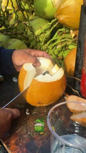 Cutting a Coconut with a Laser and other science experiments