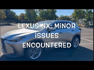 2024 Lexus NX 350h - 12 Minor Issues Encountered